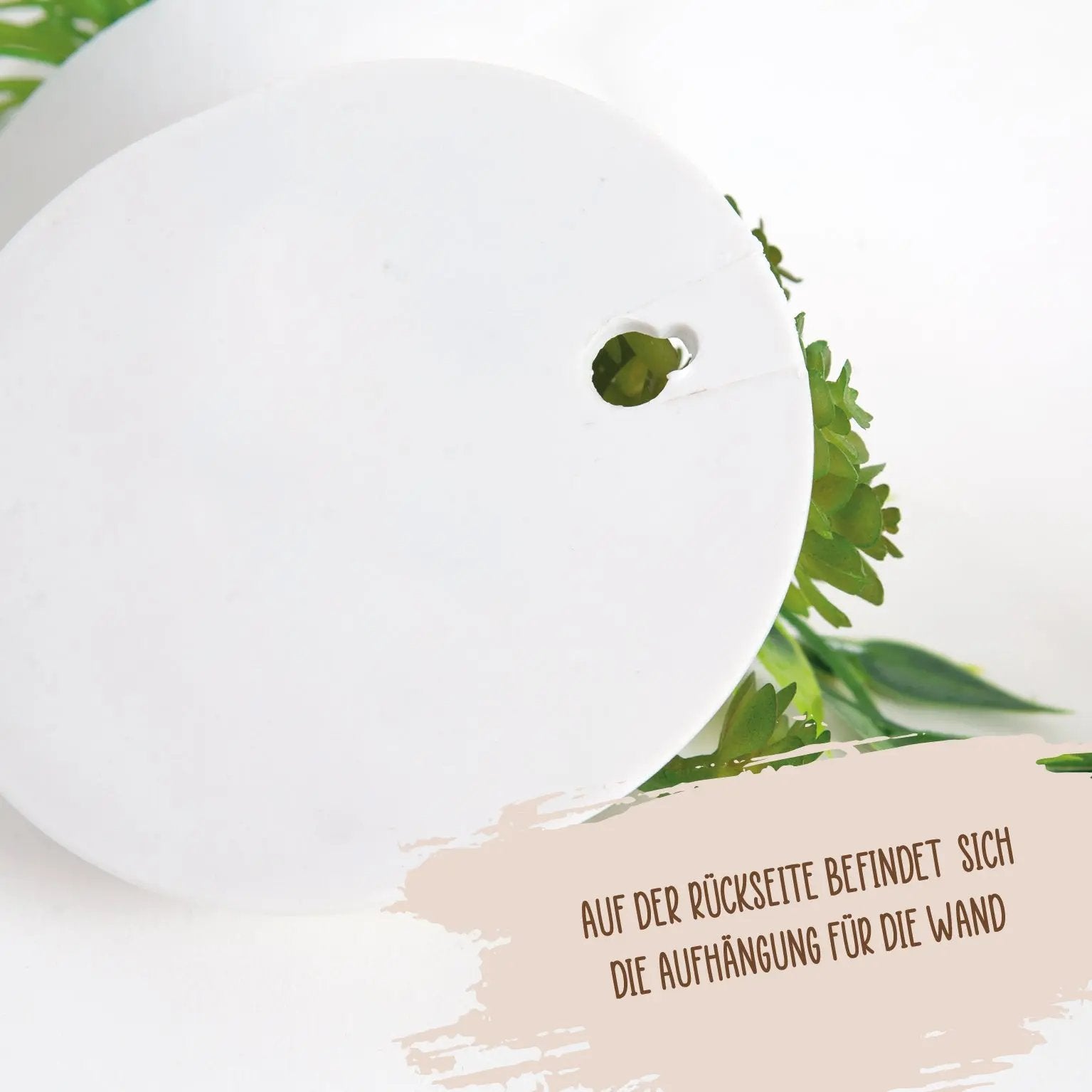 Sukkulenten 4er Set zum aufhängen Interior Design