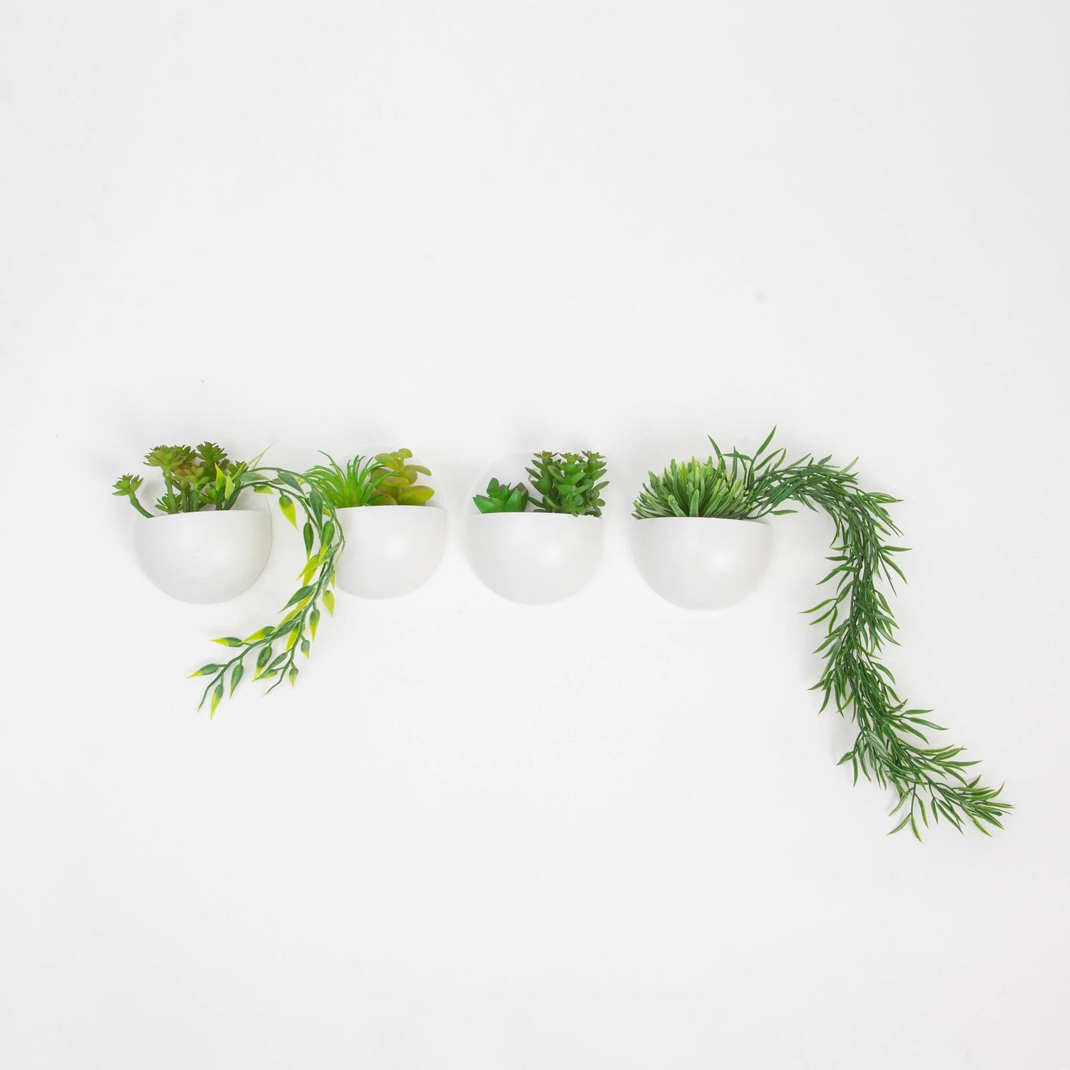 Sukkulenten 4er Set zum aufhängen Interior Design