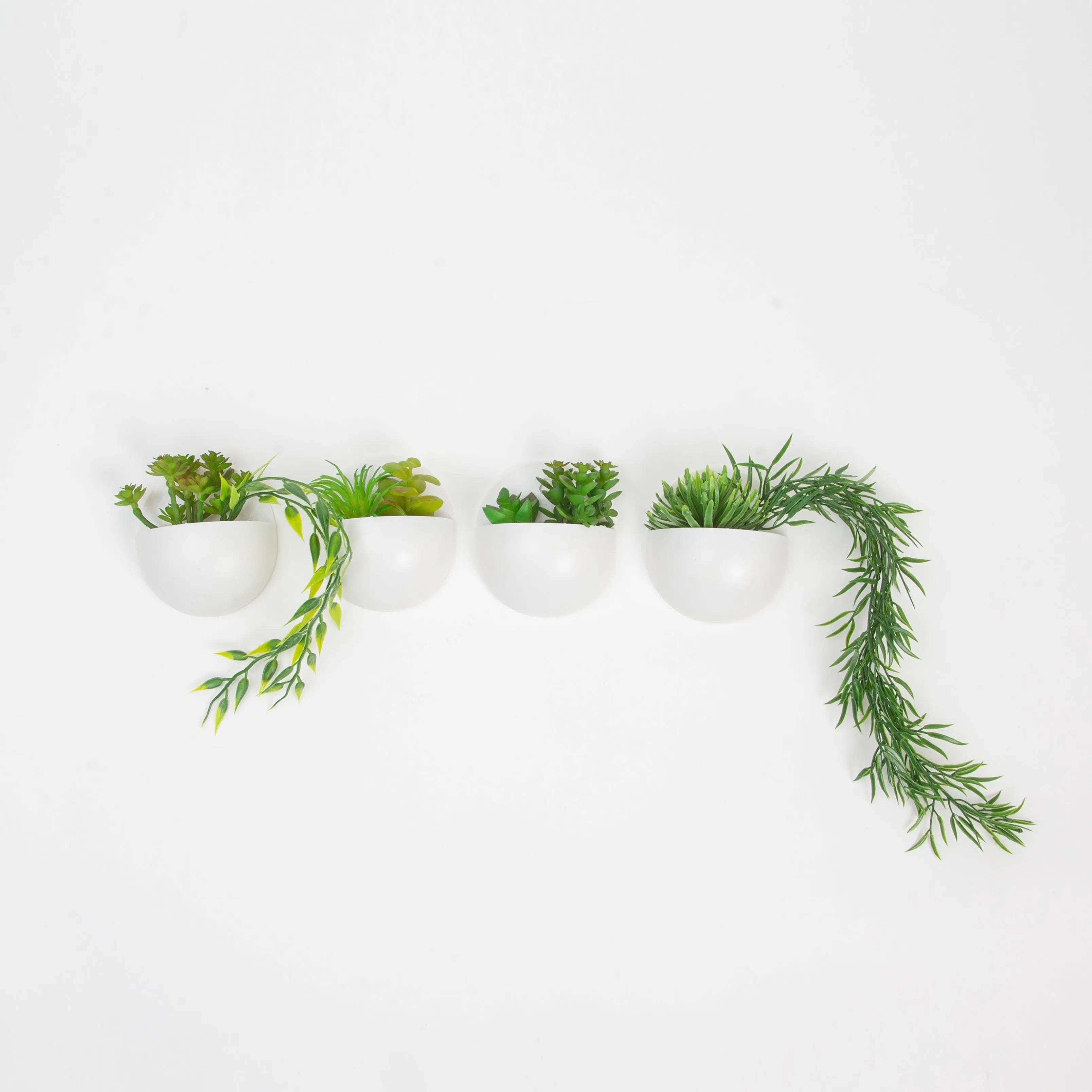 Sukkulenten 4er Set zum aufhängen Interior Design