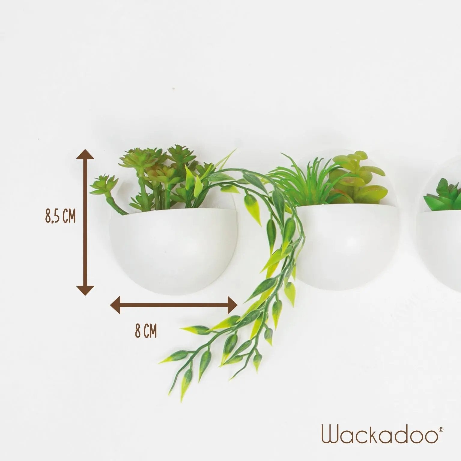 Sukkulenten 4er Set zum aufhängen Interior Design