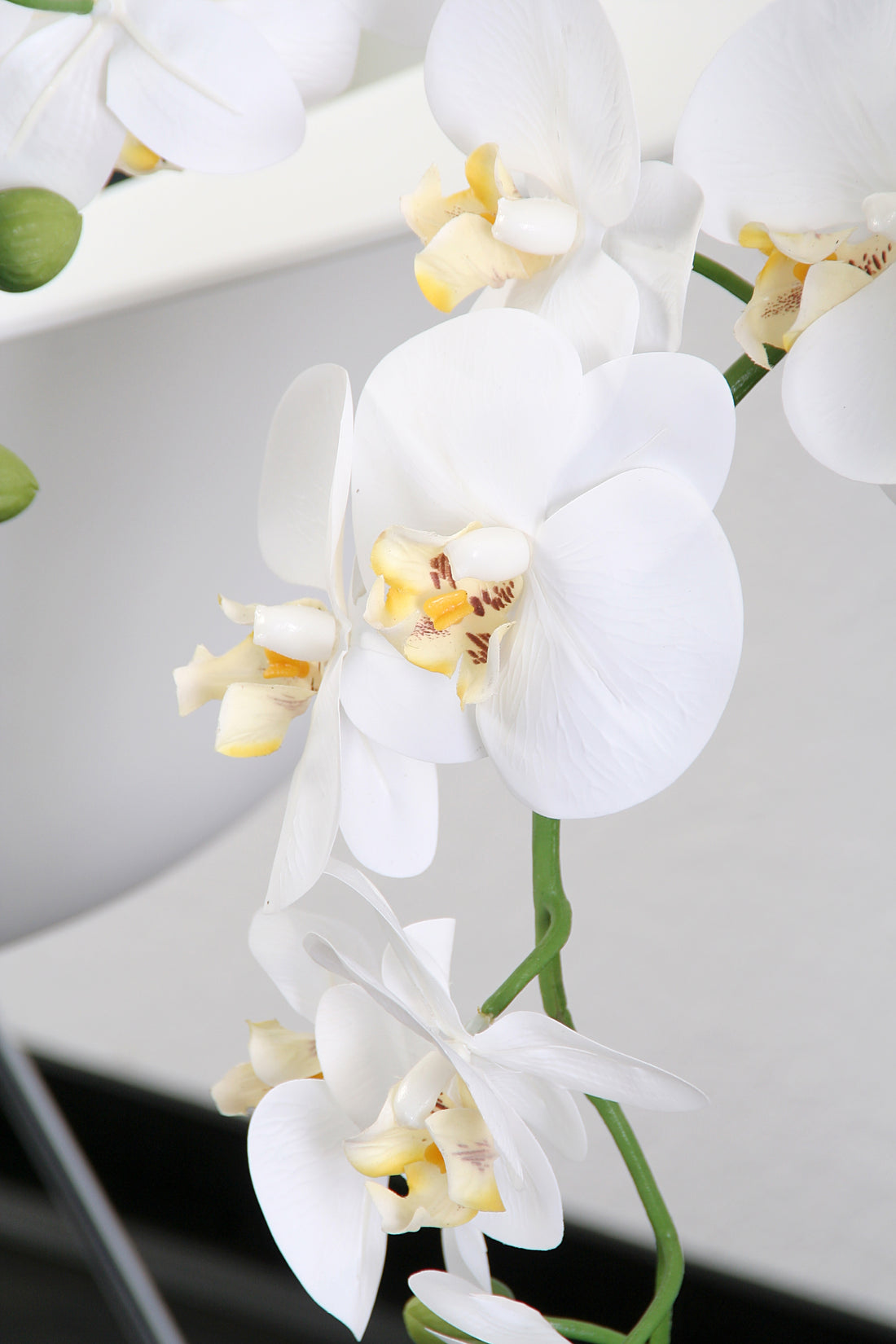 XL Orchidee 80 cm - real touch