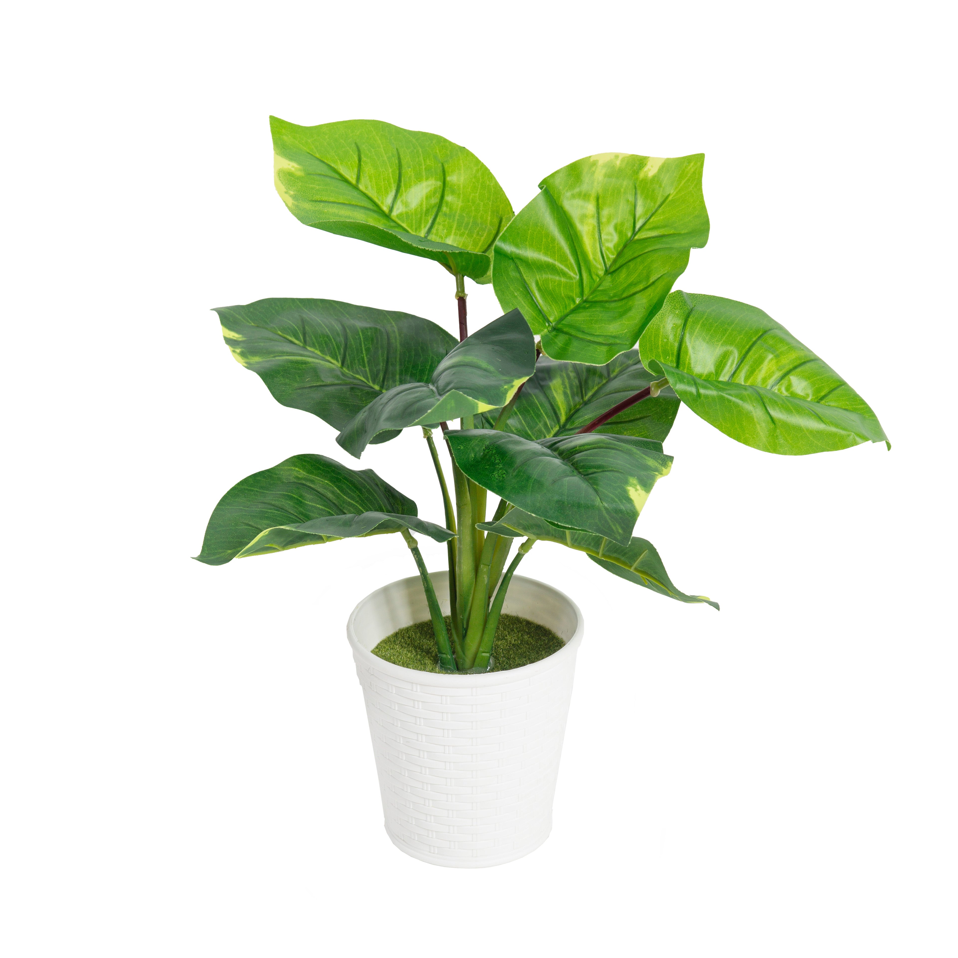 Kunstpflanze Dieffenbachia im Rattan Übertopf 32 cm