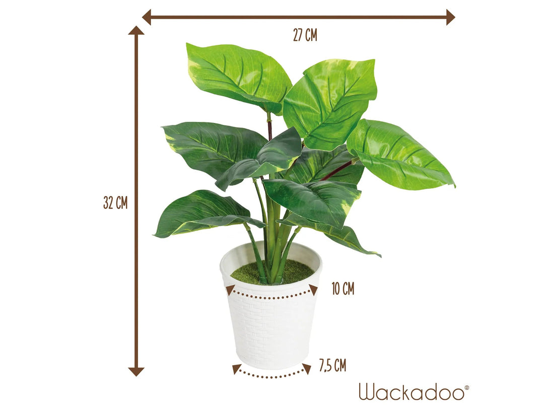 Kunstpflanze Dieffenbachia im Rattan Übertopf 32 cm Interior Design