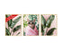 Wackadoo Poster Set "Wellness Katze" 3er Set inklusive Bilderrahmen Bilderrahmen Set