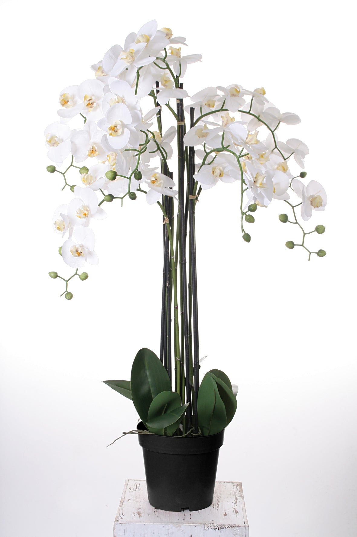 Wackadoo® Große Orchidee 110 cm - Blütenblätter mit &quot;real touch&quot; Oberfläche