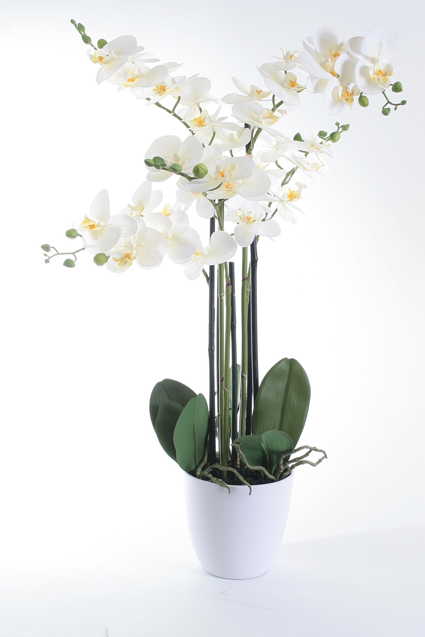 XL Orchidee 80 cm - real touch